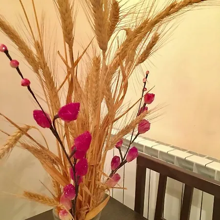 Rurales Flor De Lavanda *